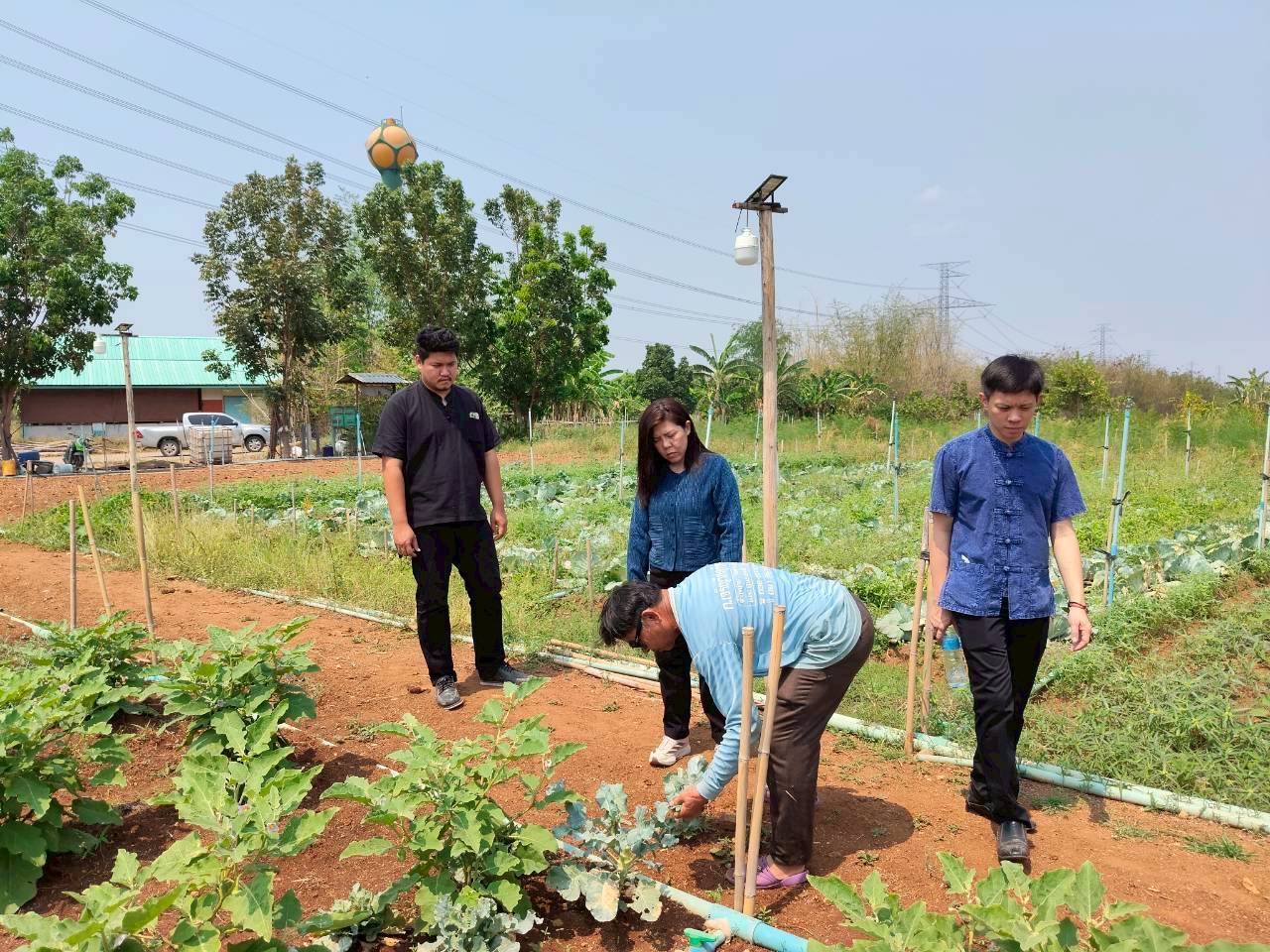       อำเภอชัยบาดาล โดยสำนักงานพัฒนาชุมชนอำเภอชัยบาดาล ลงพื้นที่เยี่ยมชม โคก หนอง นา ของนายชัยอรุณ นิยมสวัสดิ์ 